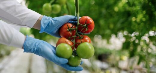 Cultivating the Future: Exploring Regenerative Agriculture Practices