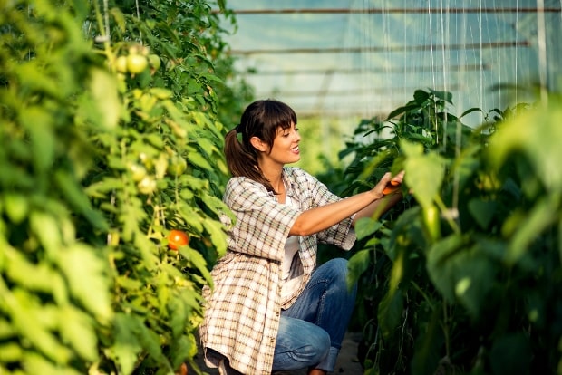 Sowing the Seeds of Innovation: Investment Opportunities in AgriTech Startups